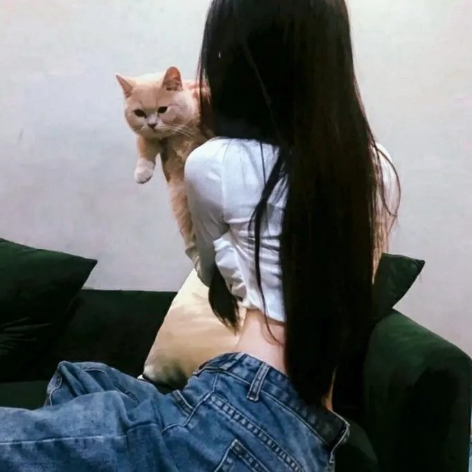 猫眼